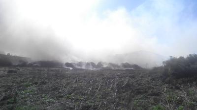 В Спасском районе сгорело 30 тонн сена