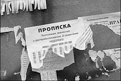 Жительница Рыбного «прописала» у себя таджика