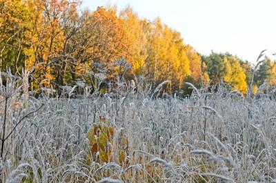 В Рязанской области 18 ноября возможны метель и гололёд