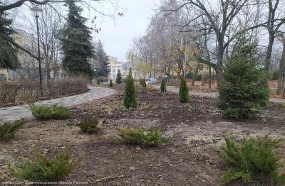 В Наташкином парке завершилась посадка деревьев и кустарников