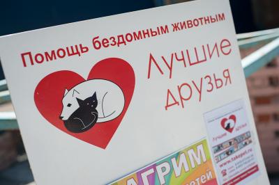 Рязанцы вновь поддержали «Лучших друзей»