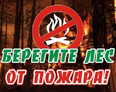 Рязанцев призывают соблюдать правила пожарной безопасности в лесах