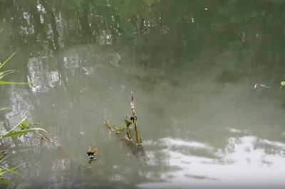 Жители Ряжска сообщили о сбросе мутной воды в реку