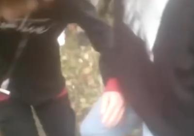 В Рязанской области могут наказать авторов публикации с видео с избиением школьницы