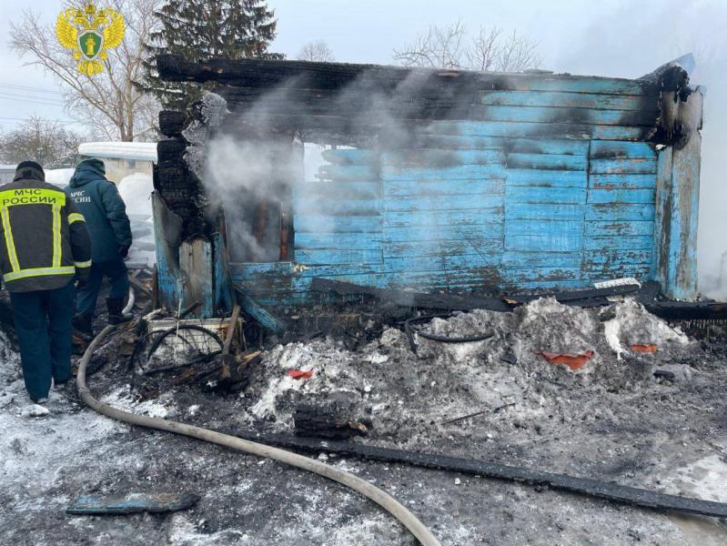 Ночью на пожаре в Шиловском районе погибли несколько человек
