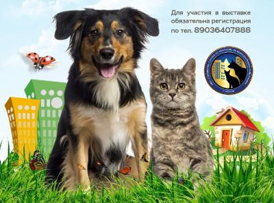 В Рязани пройдёт выставка бездомных животных «Пойдем домой»