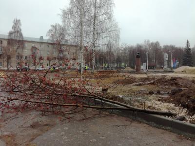 Жители посёлка Приокский пожаловались на спиленную рябину