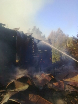 На пожарах в Рязанской области пострадали два человека