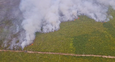 Пожар в рязанских лесах перешёл на торфяники