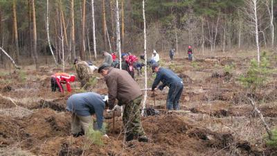 Представители Общественного совета рязанского минлесхоза займутся посадкой лесов