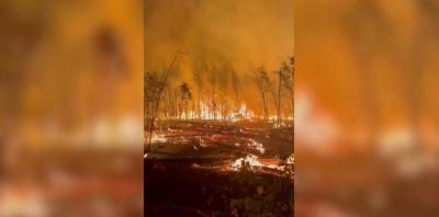 В Рязанскую область для борьбы с пожаром прибыли 50 специалистов из Красноярского края