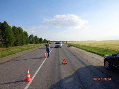 В Шацком районе подросток-велосипедист погиб в столкновении с автомобилем
