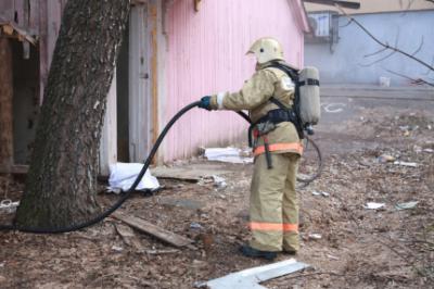 Рязанские пожарные за неделю 73 раза тушили траву и мусор