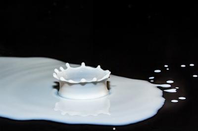 На шиловском предприятии уничтожили более четырёх тонн молочной продукции