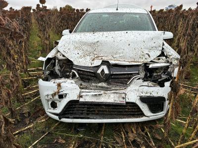 Под Михайловом Renault Logan врезался в грузовик, пострадала пассажирка