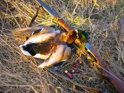 Определён срок весенней охоты в Рязанской области 2016 года