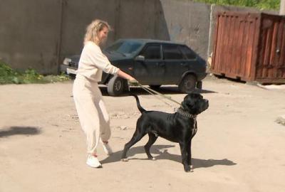 Появились подробности гибели женщины в квартире с собаками в Рязани