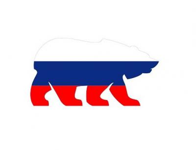 Партия «Медведь» ищет руководителя в Рязани через сайт по поиску работы