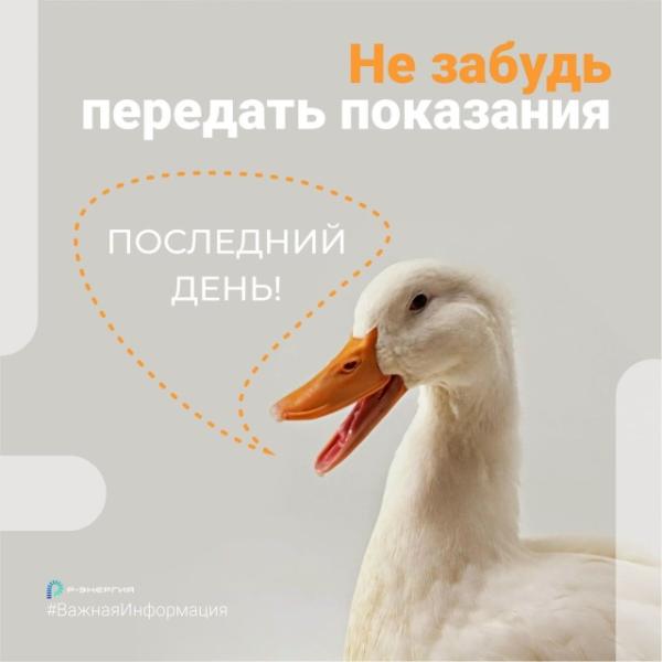 Рязанцам напомнили о необходимости передать показания счётчиков