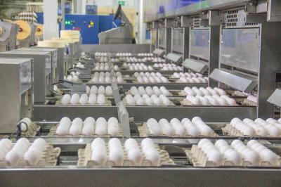 В Россельхознадзоре завили, что глобального подорожания рязанских яиц не произошло