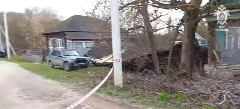 В Рязанской области нашли убитыми женщину и её годовалого сына