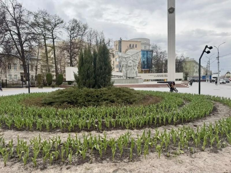 В Рязани приводят в порядок клумбы