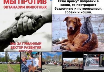 В ЦПКиО пройдёт пикет против эвтаназии бездомных животных