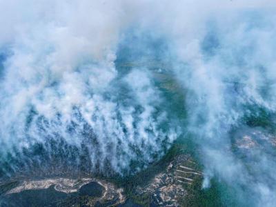 Площадь активного горения лесов в Рязанской области на 23 августа составляет 183 гектара