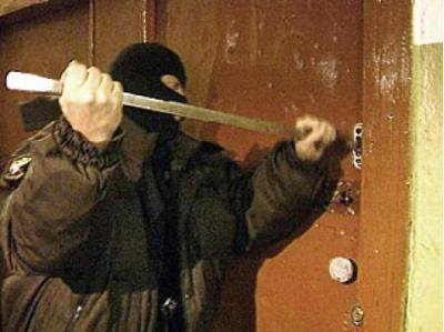 Рыбновские полицейские задержали серийного дачного вора