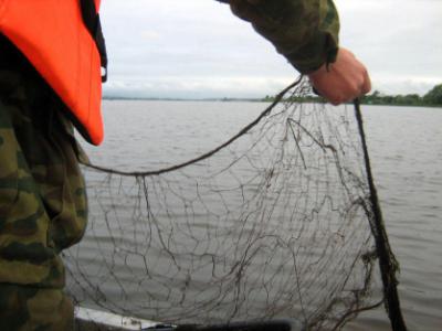 Браконьеры выловили из рязанских водоёмов 53 килограмма рыбы
