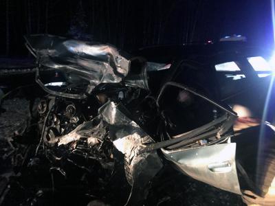 В серьёзной аварии близ Путятино погибли два человека