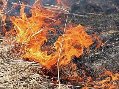 Рязанцам запретили сжигать сухую траву