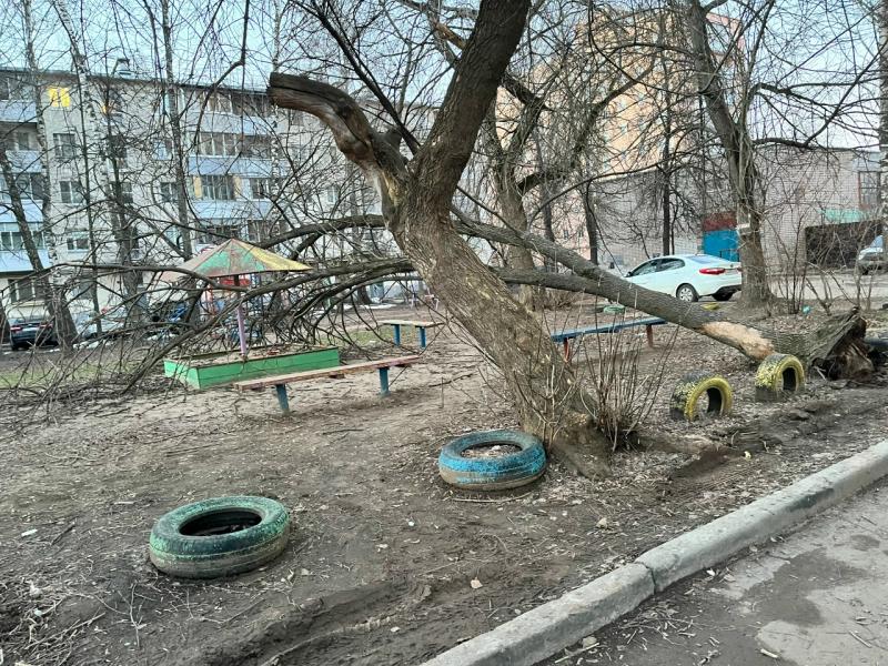 В Рязани дерево упало на детскую площадку