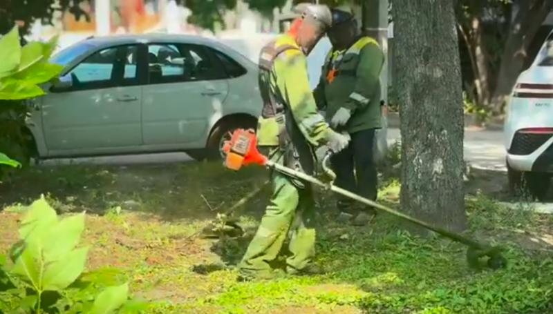 В Рязани продолжают косить траву и поливать цветы