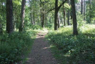 Рязанцам пообещали потепление 16 июля