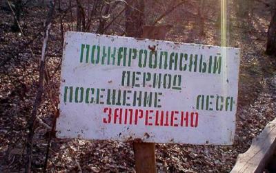С 14 августа запрещён въезд на некоторые лесные участки в Рязанской области