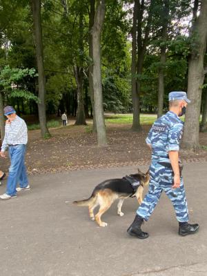 В Рязани стартовали профилактические рейды полиции