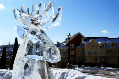 «Северный олень» из Рязани занял второе место на международном фестивале ледовой скульптуры