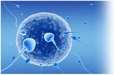 Рязанские специалисты по репродуктивной медицине побывали на форуме в Сочи