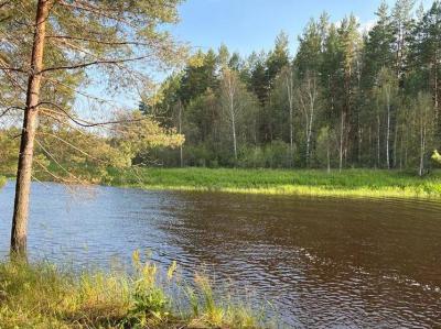 Фото СУ СКР по Рязанской области