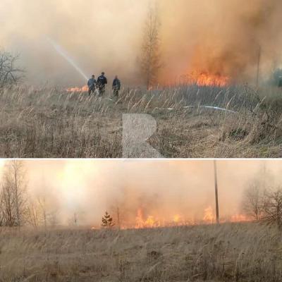 В Путятинском районе пожарные тушат траву