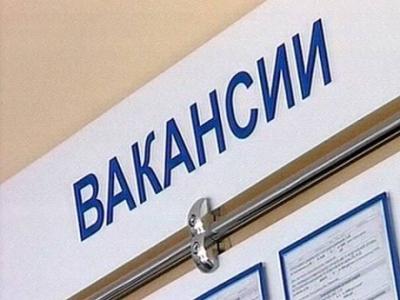 Жителей Михайловского района проинформировали о ситуации на рынке труда