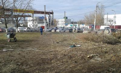 На улице Островского разбивают цветочные клумбы