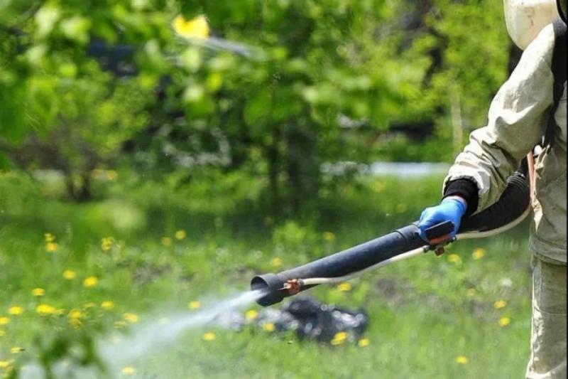 Парки Рязани обработают от клещей