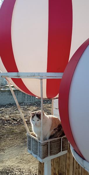 Рязанцам пообещали дождь и порывистый ветер