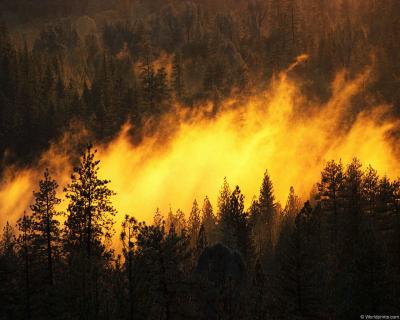 В северо-западной части Рязанского региона установлен высокий класс пожарной опасности
