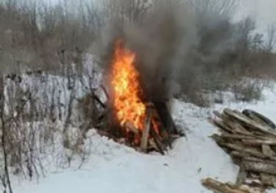 Найденные в Шиловском районе трупы овец и ягнят сожгли