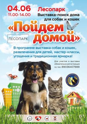 В Рязани пройдёт выставка бездомных животных «Пойдем домой»