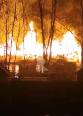 Стали известны подробности пожара в посёлке Солотча в Рязани