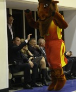 IMG_8615_resize.JPG title=